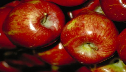 How To Freeze Baked Apple